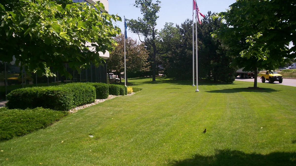 Ambient commercial groundskeeping scene in Guelph