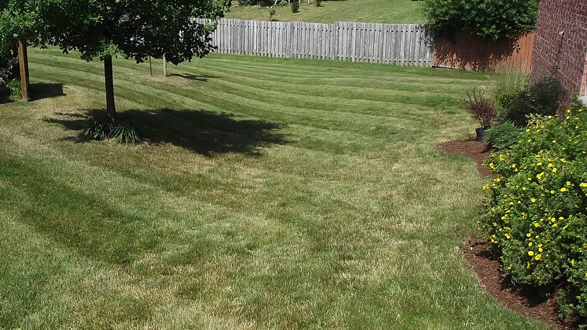 Ambient lawn care & turf scene in Guelph